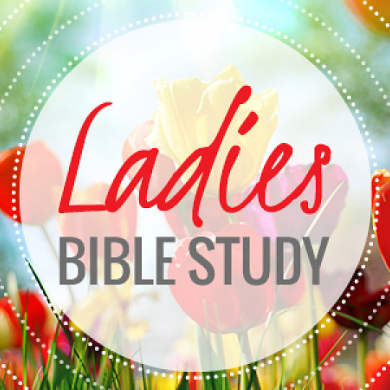 ladiesbiblestudty